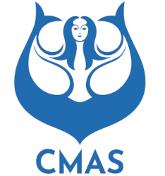 cmas